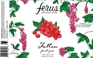 Ferus Artisan Ales Fallen Fruit Gose February 2020