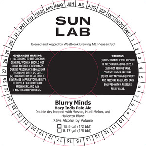 Sun Lab Blurry Minds February 2020