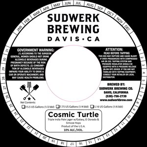 Cosmic Turtle March 2020