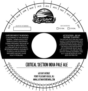 Critical Section India Pale Ale March 2020