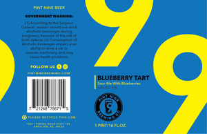 Blueberry Tart Sour Ale 