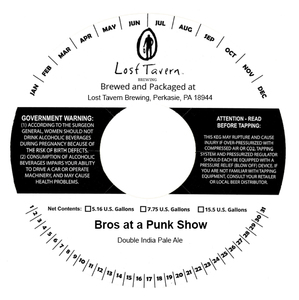 Lost Tavern Brewing Bros At A Punk Show