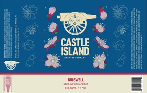 Castle Island Brewing Company Budswell March 2020