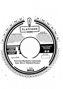 Platform Beer Co. Tart Fizz Blueberry Lemonade