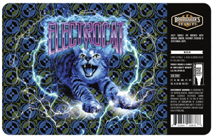 Bootlegger's Brewery Electrocat March 2020