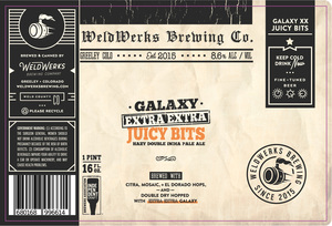 Galaxy Extra Extra Juicy Bits 