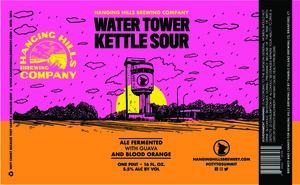 Hanging Hills Brewing Company Water Tower Kettle Sour June 2020
