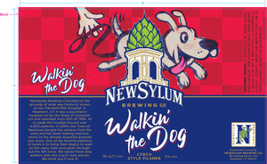 Newsylum Brewing Co. 