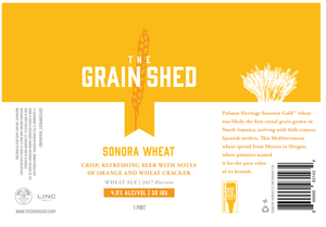 Sonora Wheat 