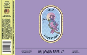 Hacienda Beer Co. False Assumptions