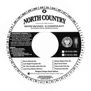 North Country Brewing Company Niagara Grape Hard Seltzer