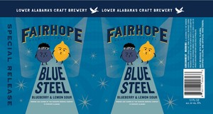 Fairhope Brewing Company Blue Steel