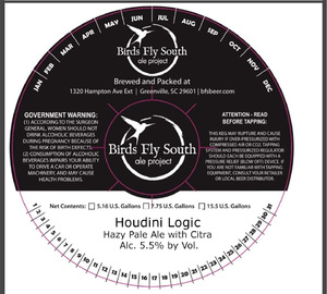 Birds Fly South Ale Project Houdini Logic