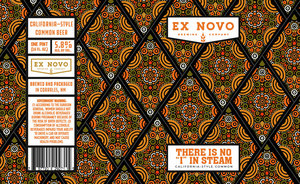 Ex Novo Brewing Company There Is No "i" In Steam March 2022