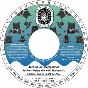 Turtles On Trampolines 