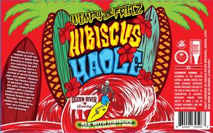 Wimpy And Fritz Hibiscus Haole