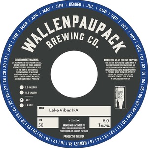 Wallenpaupack Brewing Co. Lake Vibes IPA