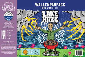 Wallenpaupack Brewing Co. Lake Haze #18: Milo Sour Hazy Double IPA