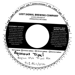 Lost Signal Brewing Company Aqueous Tripel