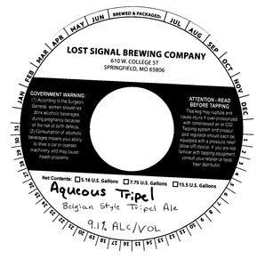 Lost Signal Brewing Company Aqueous Tripel April 2022