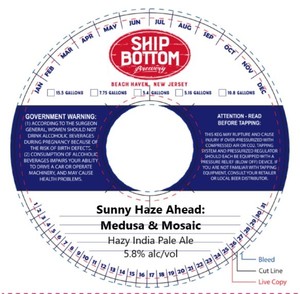 Ship Bottom Brewery Sunny Haze Ahead: Medusa & Mosaic