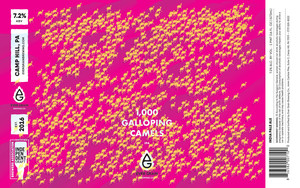 Ever Grain Brewing Co. 1,000 Galloping Camels