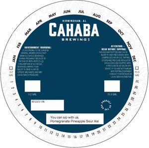 Cahaba Brewing Co. You Can Sip With Us Pomegranate Pineapple Sour Ale