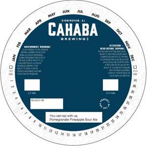 Cahaba Brewing Co. You Can Sip With Us Pomegranate Pineapple Sour Ale April 2022