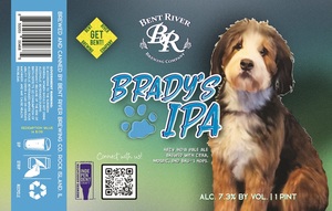 Brady's Ipa 