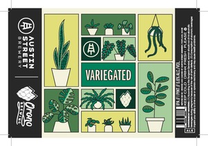 Austin Street Brewery Variegated