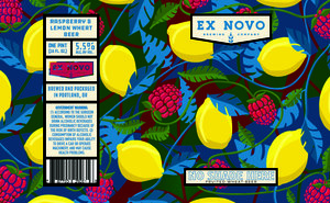 Ex Novo Brewing Company No Shade Here