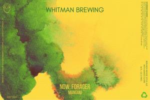 Whitman Brewing Company Now, Forager Mangiwi