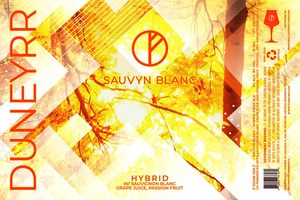 Duneyrr Artisan Fermenta Project Sauvyn Blanc