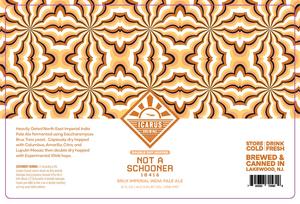 Icarus Brewing Not A Schooner 10416 June 2022