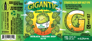 Strata Fresh Hop August 2022