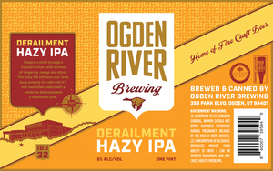 Derailment Hazy Ipa 