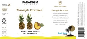 Paradigm Brewing Company Pineapple Excursion