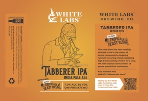 Tabberer Ipa Brewed With Wlp077 Tropicale Yeast Blend