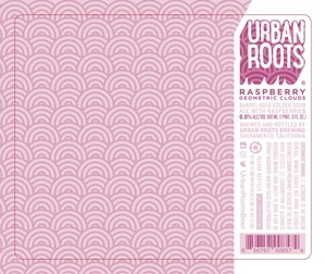 Urban Roots Brewing Raspberry Geometric Clouds January 2023