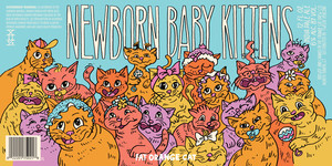 Fat Orange Cat Newborn Baby Kittens