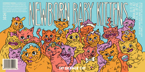 Fat Orange Cat Newborn Baby Kittens