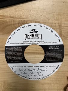 Common Roots Brewing Company Light Years Ahead