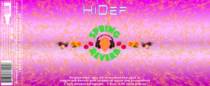 Hidef Brewing Company Spring Reverb