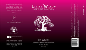 Little Willow Pin Wheel February 2023
