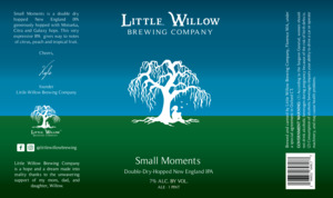 Little Willow Small Moments