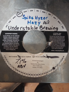 Understable Brewing Spike Hyzer