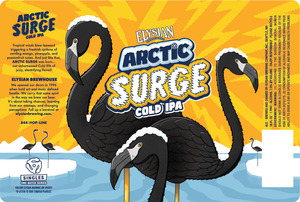 Elysian Brewing Company Arctic Surge