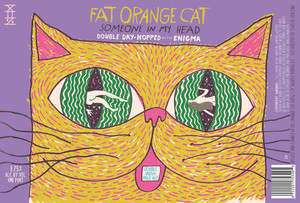 Fat Orange Cat Someone In My Head