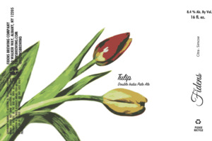 Tulip February 2023