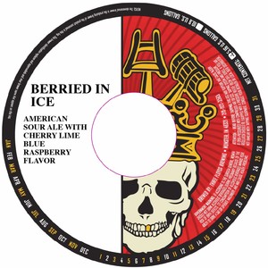 Three Floyds Brewing Berried In Ice